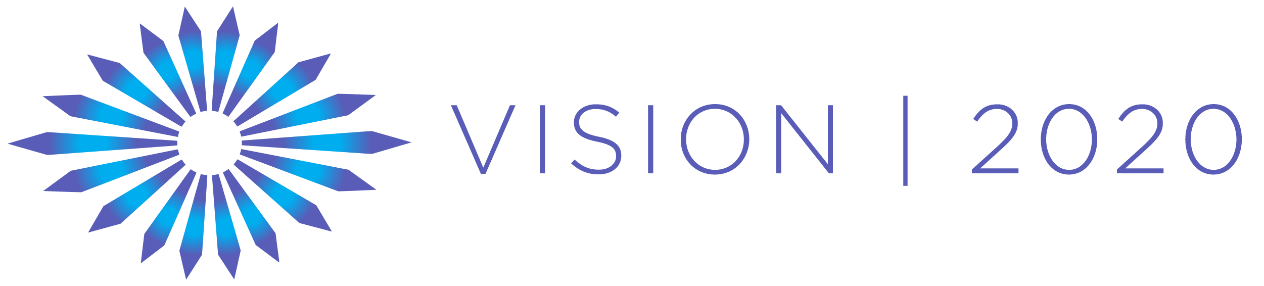 Vision | 2020